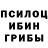 Галлюциногенные грибы Magic Shrooms YLNZGRCKLR