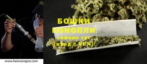 spice Аркадак