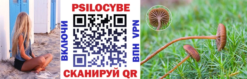 Псилоцибиновые грибы Psilocybe  Купить закладки  Дербент 